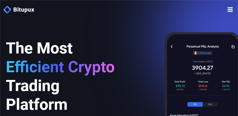 Bitupux.com отзывы