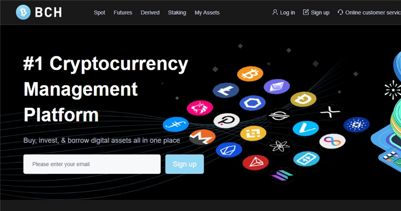 Bchcoinex.com отзывы
