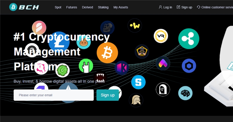 Bchcoinmax.com отзывы