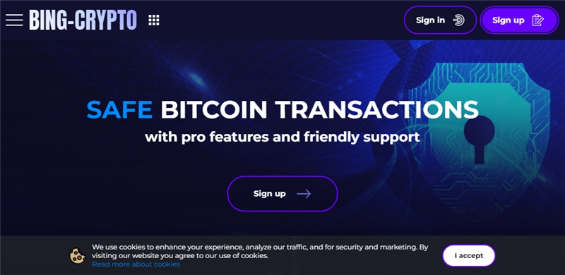 Bing-crypto.com отзывы