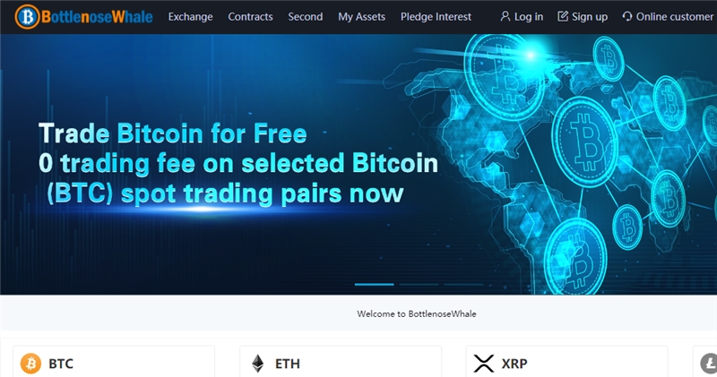 Bottlenosewhale.com отзывы
