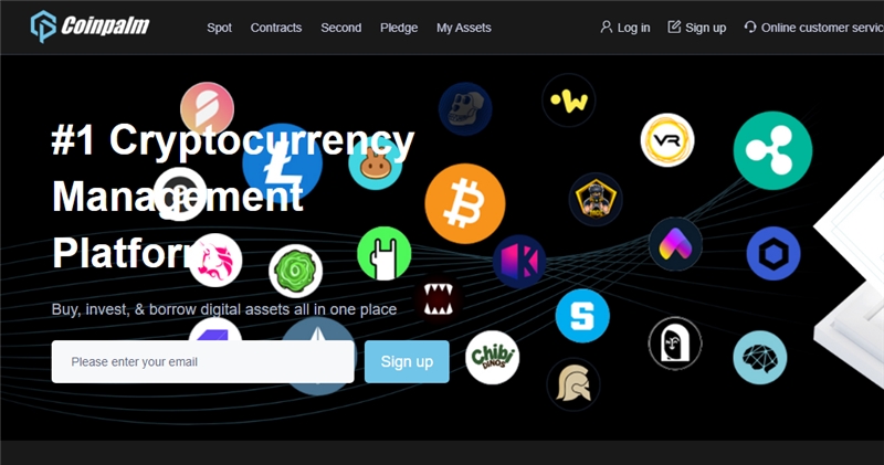 Coinpalm.com отзывы