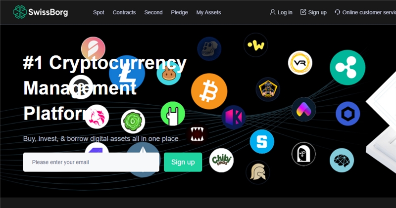 Swissborgex.com отзывы