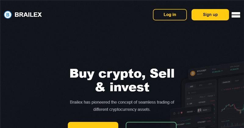 Brailex.com отзывы