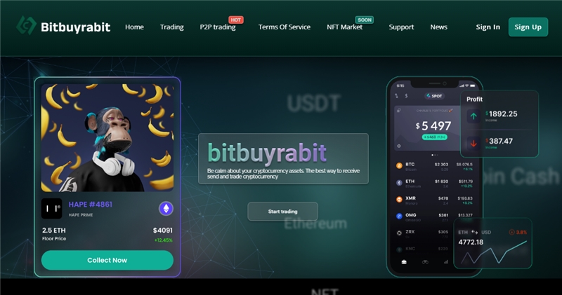 Bitbuyrabit.com отзывы