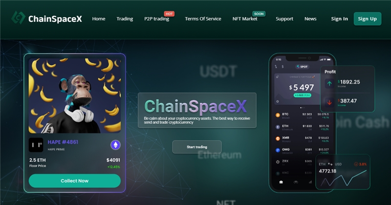 Chain-spacex.com отзывы