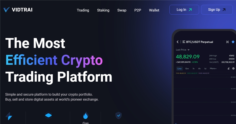 Vidtrai.com отзывы