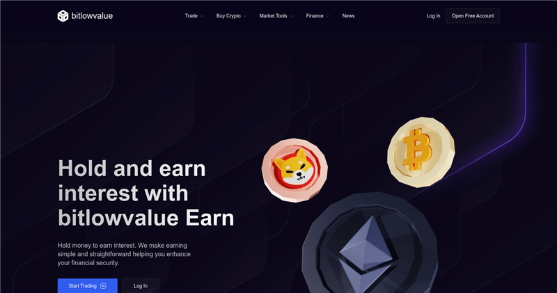Bitlowvalue.com отзывы