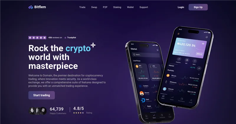 Bitflem.com отзывы
