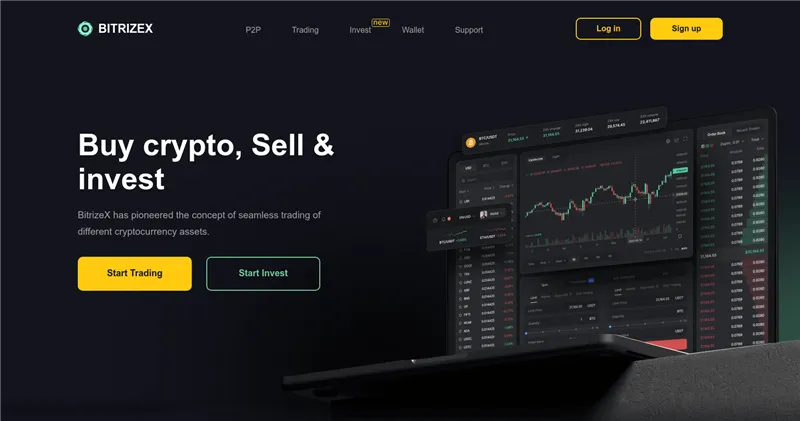 Bitrizex.com отзывы