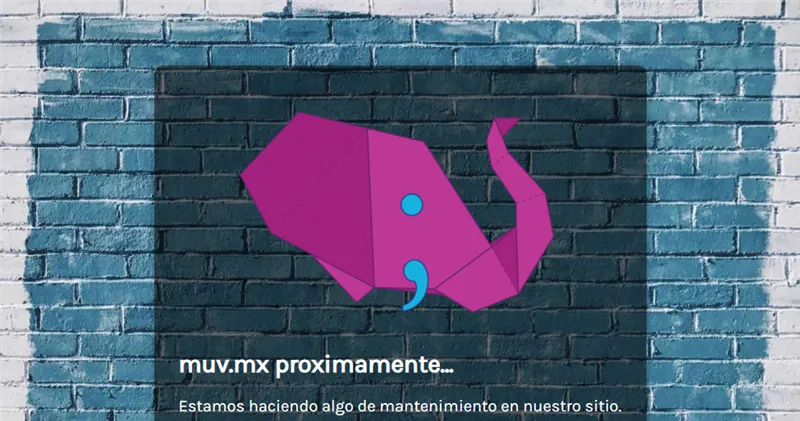 Muv.mx отзывы