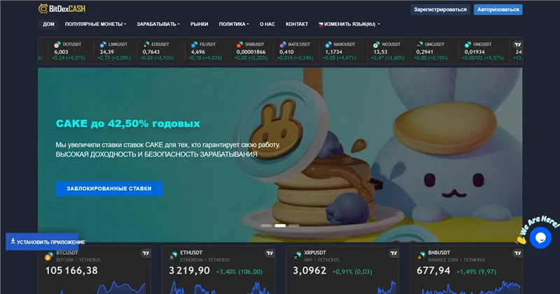 Bitdexcash.com отзывы