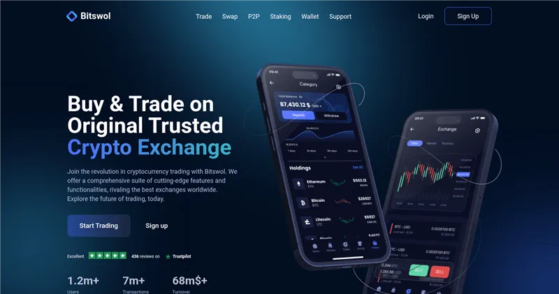 Bitswol.com отзывы