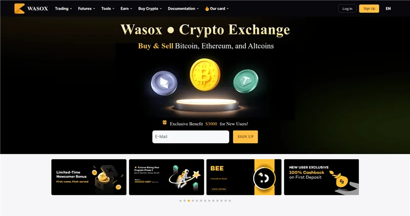 Wasox.com отзывы